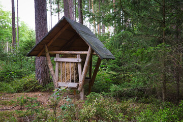 Manger in the forest