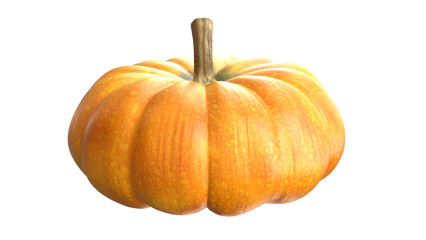 Big orange pumpkin front isolated on transparent png background. 3D Rendered illustration render