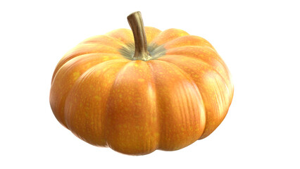 Big orange pumpkin isolated on transparent png background. 3D Rendered illustration render