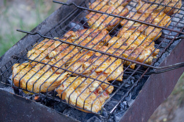 fry chicken skewers on the grill. Picnic in nature.