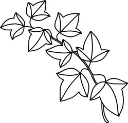 simplicity ivy freehand drawing flat design