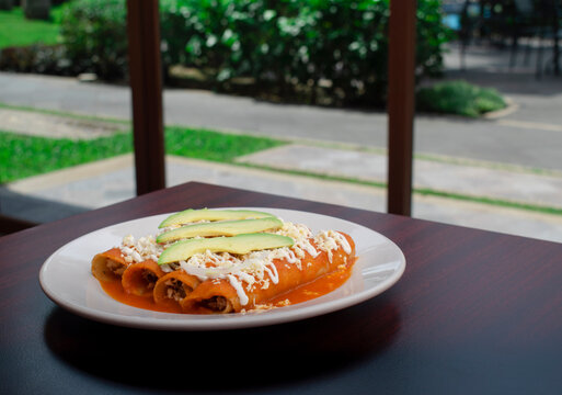 Entomatadas platillo mexicano tipico regional de tortillas con salsa de tomate rellenas de pollo y ba&ntilde;adas en queso y crema con aguacate