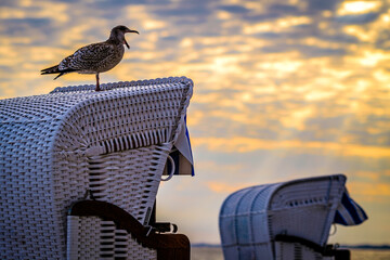 typical hooded beach chair at the baltic sea