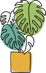 Simplicity monstera plant freehand drawing flat design.