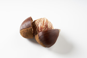 栗を白背景で