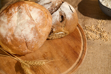 Variety of loaves of freshly baked bread on a wooden board with scattered grains and wheat ears on a burlap tablecloth