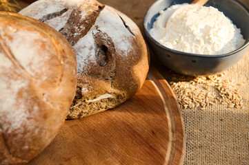 Cropped view of loaves of round freshly baked rustic whole grain bread and wheat ears on a wooden backdrop. Pastries
