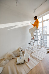 Woman paints the wall in white color, stands on ladder while making repairment with her dog in newly purchased apartment - obrazy, fototapety, plakaty