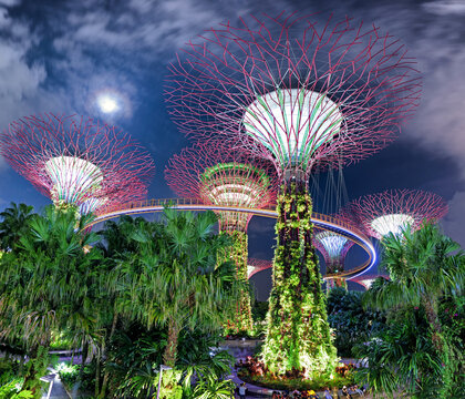 Supertree garden at night, Garden by the Bay, Singapore