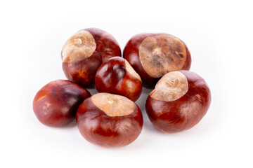 Bunch of horse chestnuts isolated on white