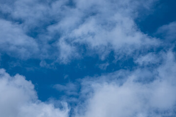 white clouds in the blue sky. cumulus.