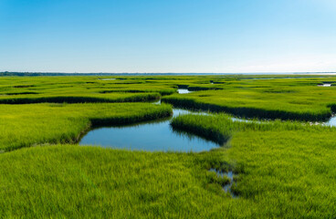Fototapeta na wymiar landscape of green marsh in cape cod beach