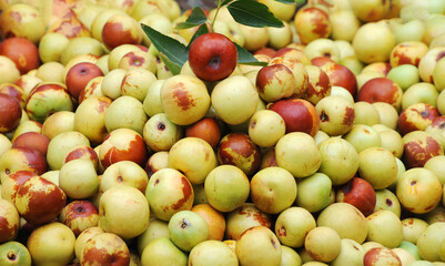  fresh dates harvested as food background