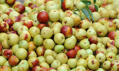  fresh dates harvested as food background