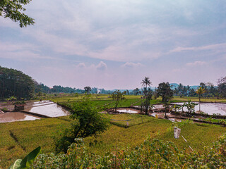 landscape with river and sky