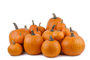 Many orange pumpkins on white