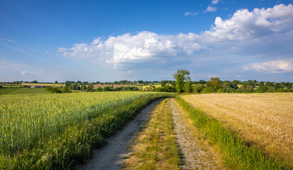 Paysage agricole, chemin de campagne de France au printemps.