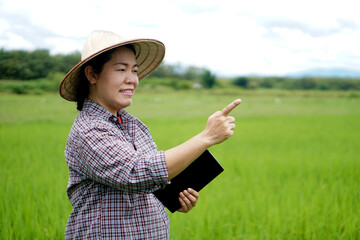 Happy Asian woman farmer is at green paddy field, wears hat, plaid shirt, holds smart tablet, points to something.  Concept: agriculture occupation, using wireless technology device. Smart farmer. 