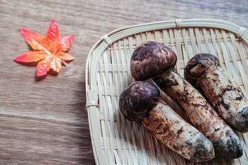 松茸で秋の味覚を楽しむ