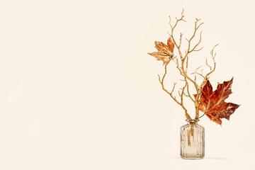 red maple leaves on golden branches in a vase. Fall autumn minimal background. Copy space golden foliage seasonal backdrop. happy thanksgiving or hello autumn