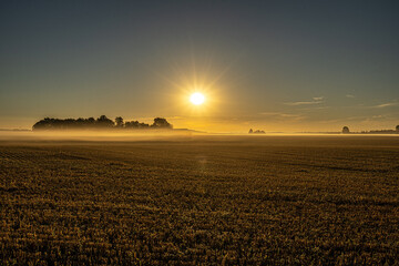 Frosty field 
