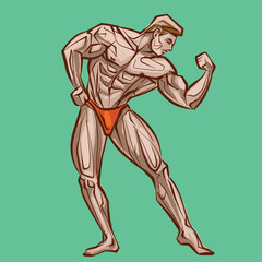 Fitness men posing. Muscular man stands, rippling athlete. Vector drawing