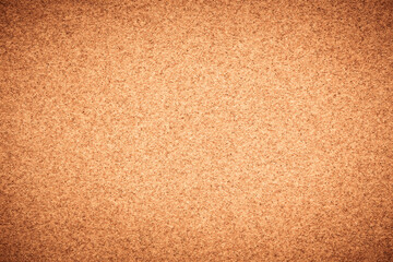 Cork Board Texture for background.