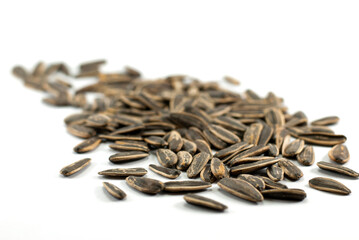 A pile of sunflower seeds on a white floor, selective focus.