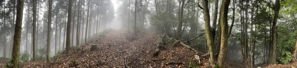 霧が立ち込める登山道の分岐のパノラマ写真
