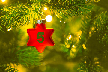 ein roter Stern mit einer Zahl (5) am Weihnachtsbaum, Weihnachtskalender