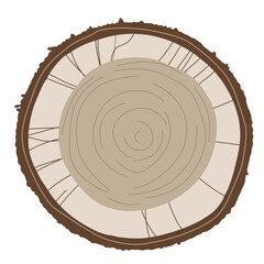 Fototapeta na wymiar coconut slice illustration