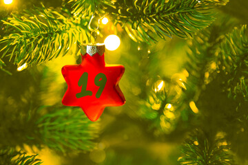 ein roter Stern mit einer Zahl (19) am Weihnachtsbaum, Weihnachtskalender