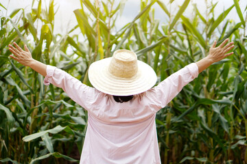 Back view of woman farmer is at garden in the evening, wears hat and raises hands up. feels free and success.  Concept : Agriculture occupation. Working with nature. Organic farming.      