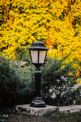 Vintage black iron garden lantern in autumn nature