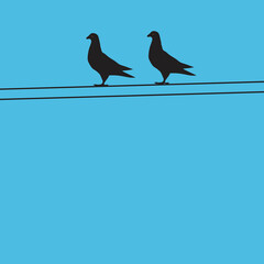 pigeons on a wire