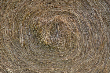 A close-up shot of a large bail of hay
