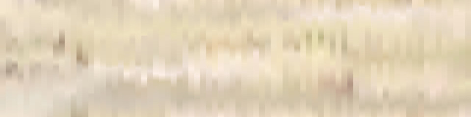 Color flix intro animation style illustration