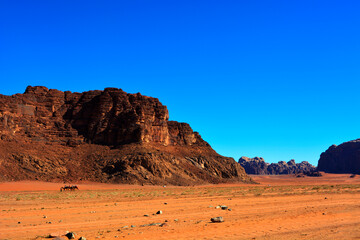 Fototapeta na wymiar Amazing desert landscape. Beautiful landscape of desert mountains. Monolithic mountains in the central part of the desert. Wadi Rum, Jordan.