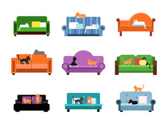 Cat Pet Sitting and Lying on Sofa or Couch Living in Cozy Apartment Vector Set