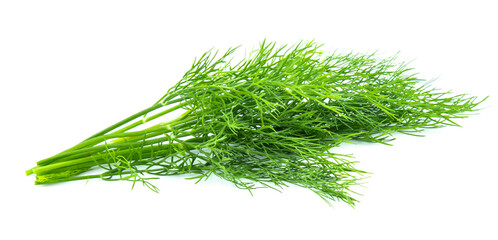 fresh dill green isolated on white background