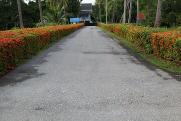 Obraz premium path in the garden