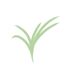 Fototapeta premium green plants set with clover dandelion chives plantain