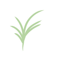 green plants set with clover dandelion chives plantain