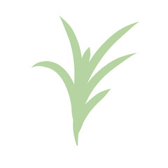 green plants set with clover dandelion chives plantain