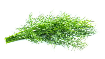 fresh dill green isolated on white background