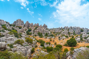 Fototapeta na wymiar Stones with beautiful shapes in the Torcal de Antequera on the green trail, Malaga. Spain