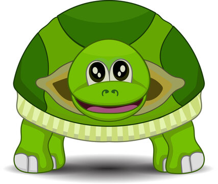 Cartoon funny turtle front view isolated on white background