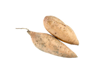 Whole sweet Asian potatoes