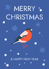Fototapeta na wymiar Christmas card with bullfinch and snowflakes. Vector illustration