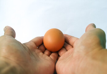 One chicken egg is placed on the palm of the hand. Isolated on white background